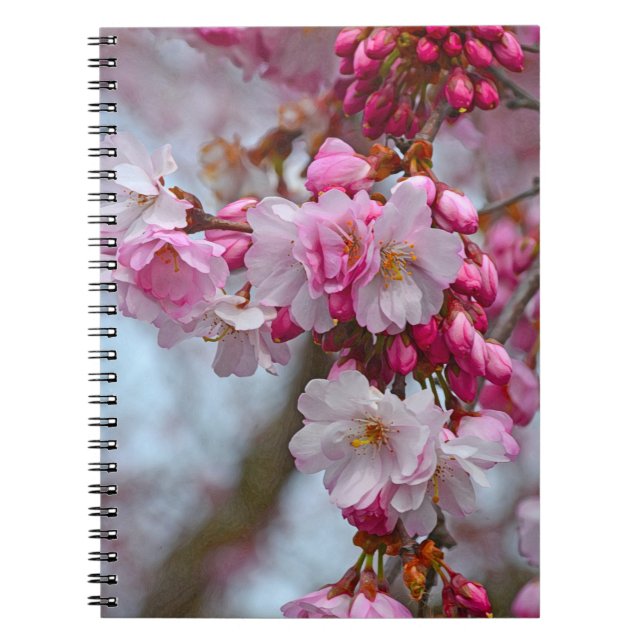 Pink cherry blossoms notebook (Front)
