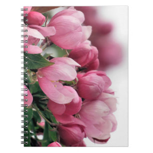 PInk cherry blossoms - notebook