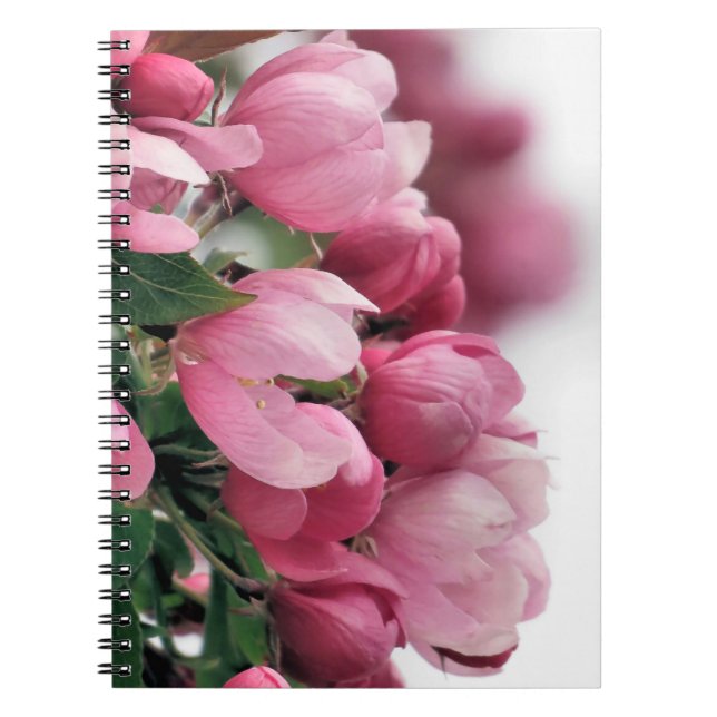 PInk cherry blossoms - notebook (Front)