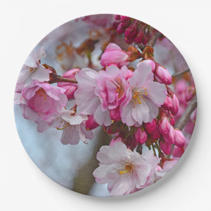 Pink cherry blossoms paper plate