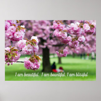 Pink cherry blossoms poster
