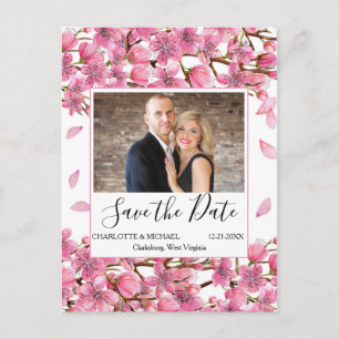 Pink Cherry Blossoms Save The Date Postcard