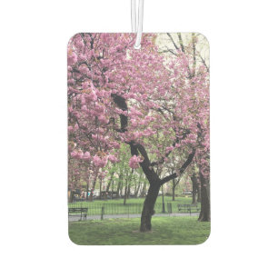 Pink Cherry Tree Blossom Springtime New York City Car Air Freshener