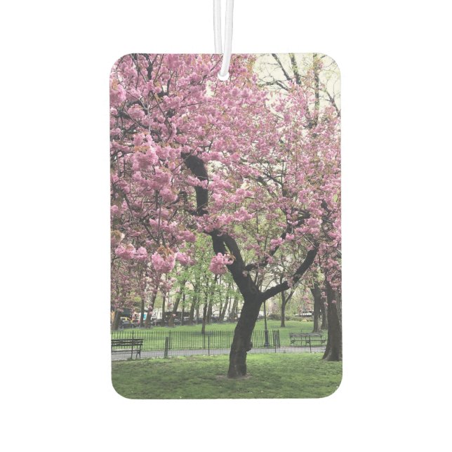 Pink Cherry Tree Blossom Springtime New York City Car Air Freshener (Back)