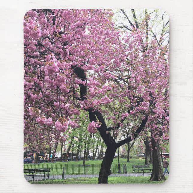 Pink Cherry Tree Blossoms Springtime New York City Mouse Mat (Front)