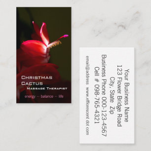 Pink Christmas Cacti Bloom Photograph Business Card