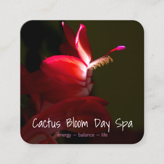 Pink Christmas Cacti Flower Photograph Appointment (Front)