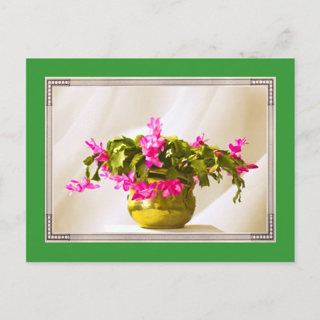 Pink Christmas Cactus Portrait Holiday Postcard (Front)