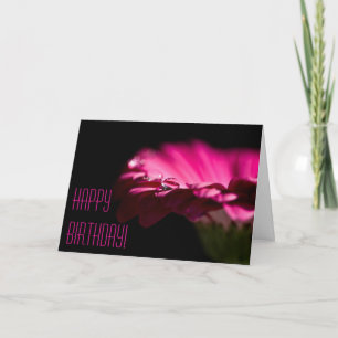Pink Chrysanthemum Birthday Card