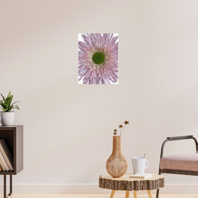 Pink Chrysanthemum Bloom Floral Poster (Living Room 3)