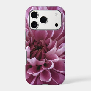 Pink Chrysanthemum Flower Photo Design