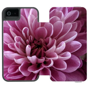Pink Chrysanthemum Flower Photo Design Incipio Watson™ iPhone 5 Wallet Case