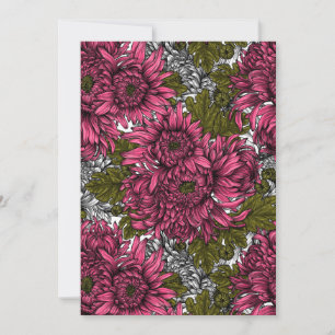Pink chrysanthemum flowers