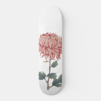 Pink Chrysanthemum Globe Flower Skateboard