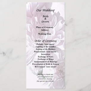 Pink Chrysanthemum Heart Programme