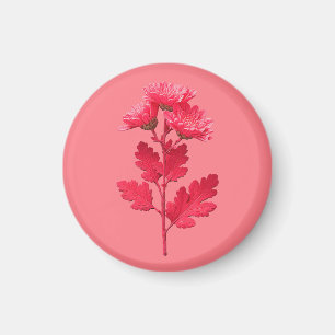 Pink Chrysanthemum Magnet