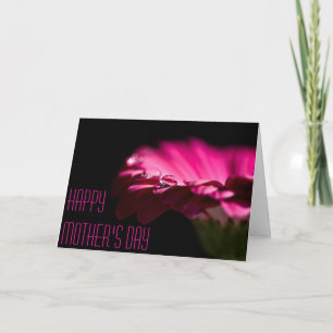 Pink Chrysanthemum Mother's Day Card