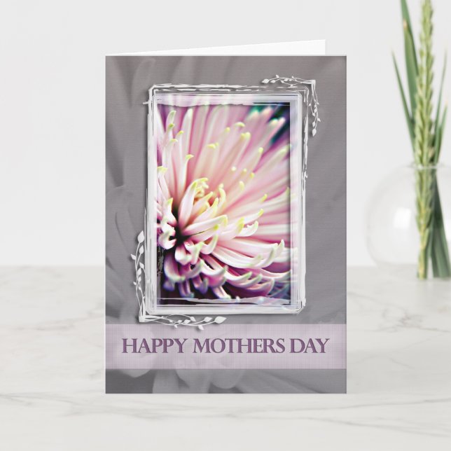 Pink Chrysanthemum Mothers Day Card (Front)