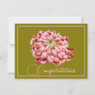Pink Chrysanthemum Olive Backdrop Congratulations Postcard
