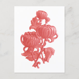 Pink Chrysanthemum Postcard