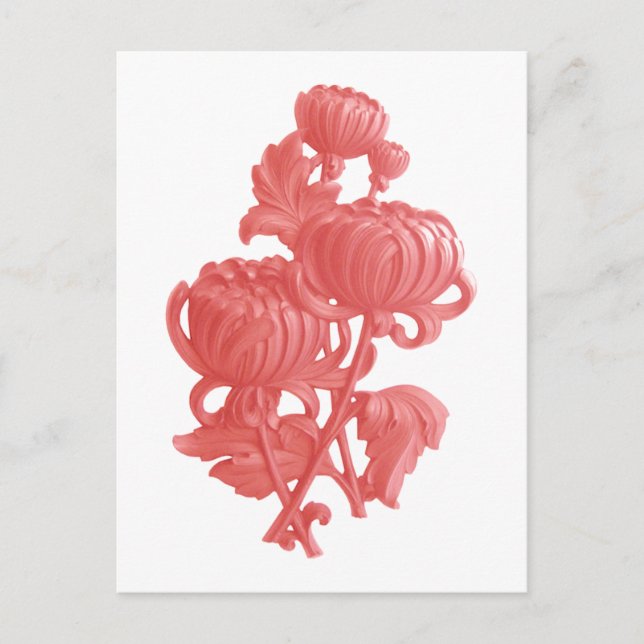 Pink Chrysanthemum Postcard (Front)