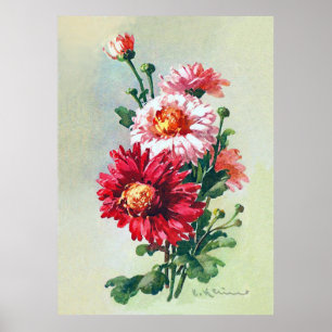Pink Chrysanthemums by Catherine Klein Poster