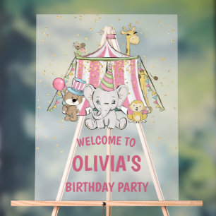 Pink Circus Birthday Welcome Acrylic Sign