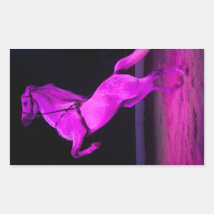 Pink Circus Horse Rectangular Sticker