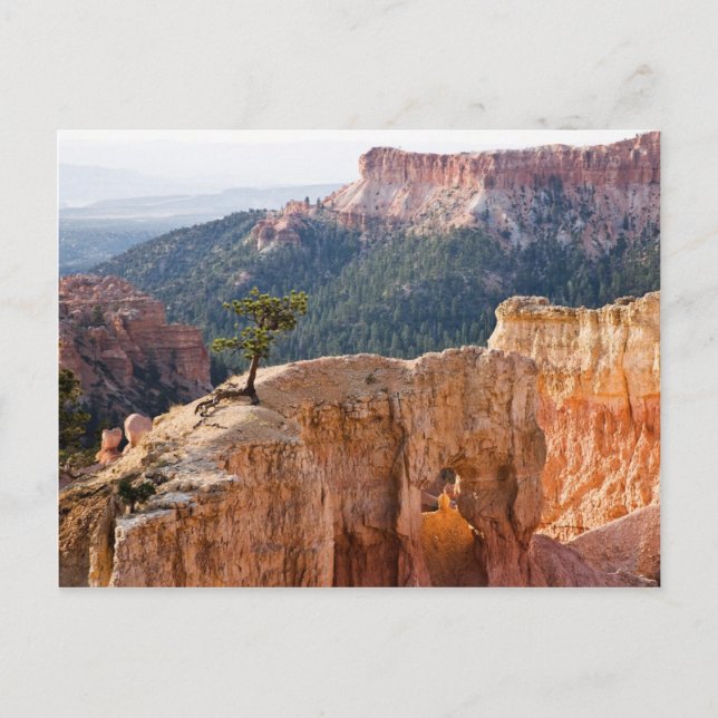 Pink Cliffs Postcard (Front)