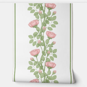 Pink Climbing Roses on white Wallpaper