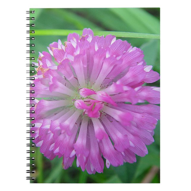 Pink Clover Blossom Notebook (Front)