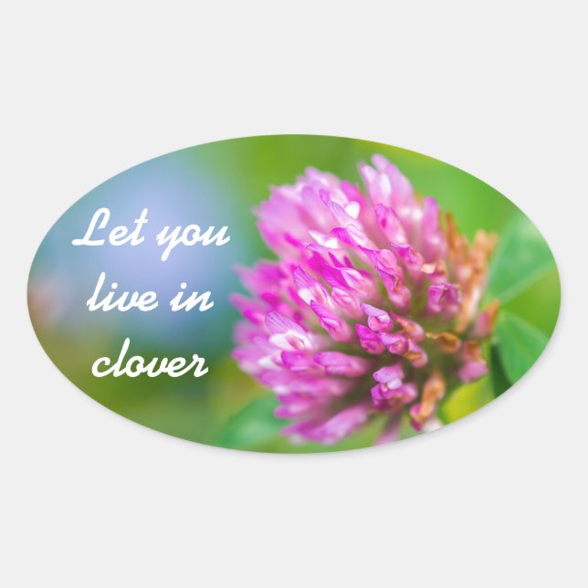 Pink clover flower oval sticker (Front)