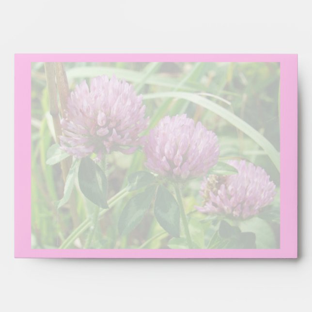 Pink Clover Wildflower - Trifolium pratense Envelopes (Front)