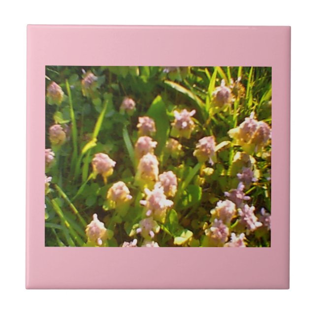 Pink Clovers Tile (Front)