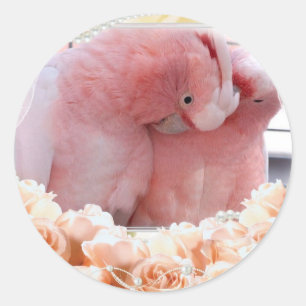 Pink Cockatoos Stickers