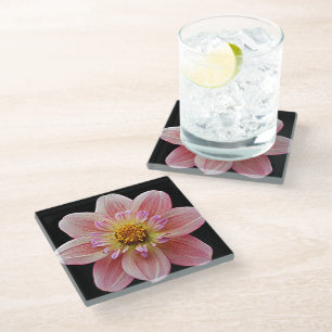 Pink Collarette Dahlia on Black Floral Glass Coaster