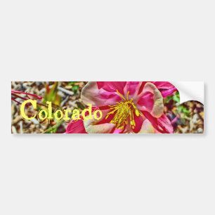 Pink columbine Colorado bumpersticker Bumper Sticker