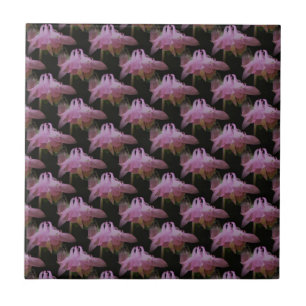 Pink Columbine Floral Art Nature Tile
