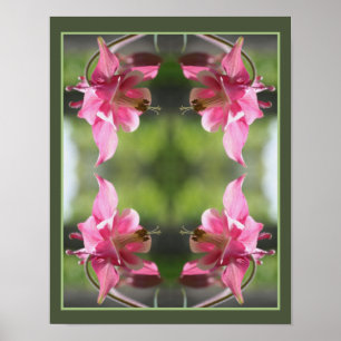 Pink Columbine Flower Close Up Abstract Poster