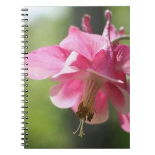 Pink Columbine Flower Nature Notebook