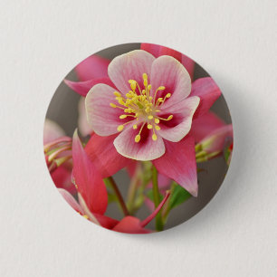 Pink columbine flower print 6 cm round badge