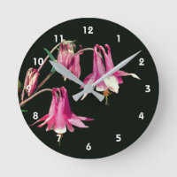 Pink Columbine Flower 