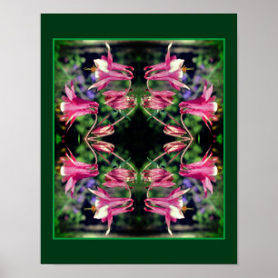 Pink Columbine Flowers Close Up Abstract  Poster