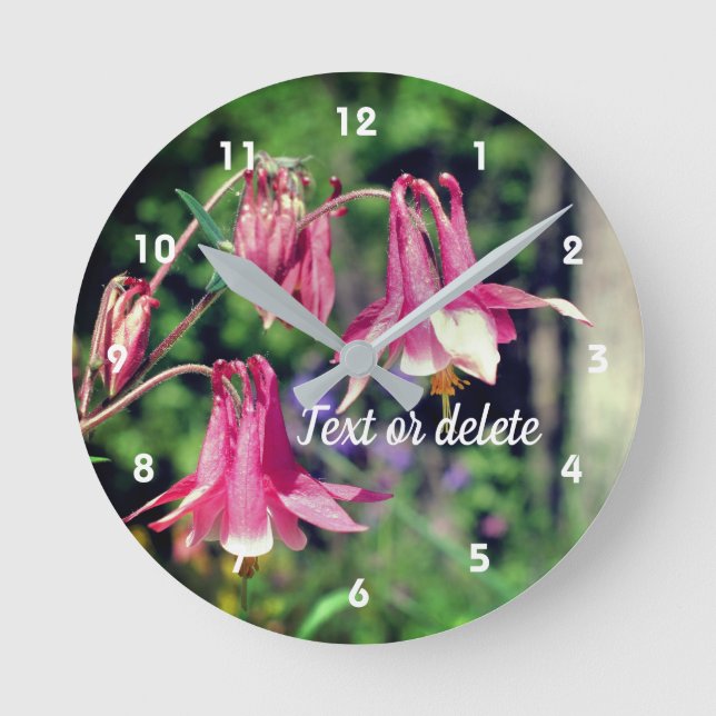Pink Columbine Flowers Close Up Personalised Round Clock (Front)