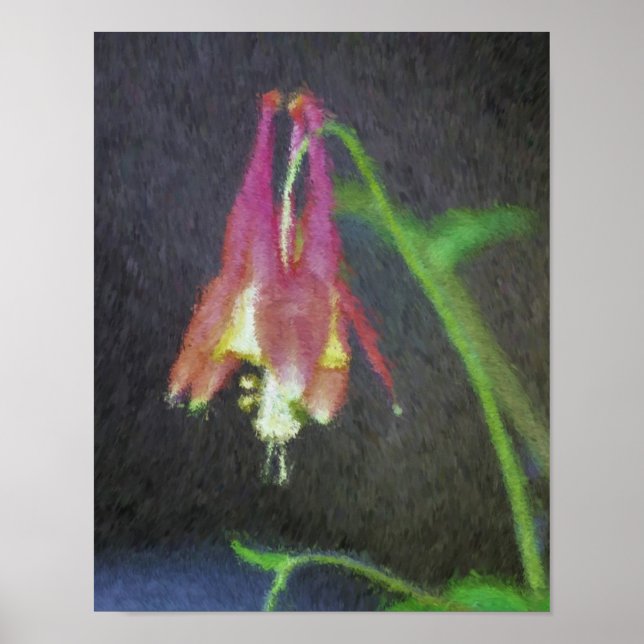 Pink Columbine Impressionist Flower Art Poster (Front)