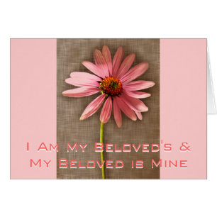 Pink Cone Flower -I am My Beloved's and My Beloved