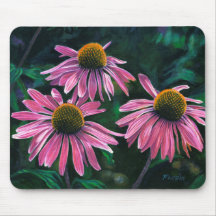 Pink Cone Flowers -