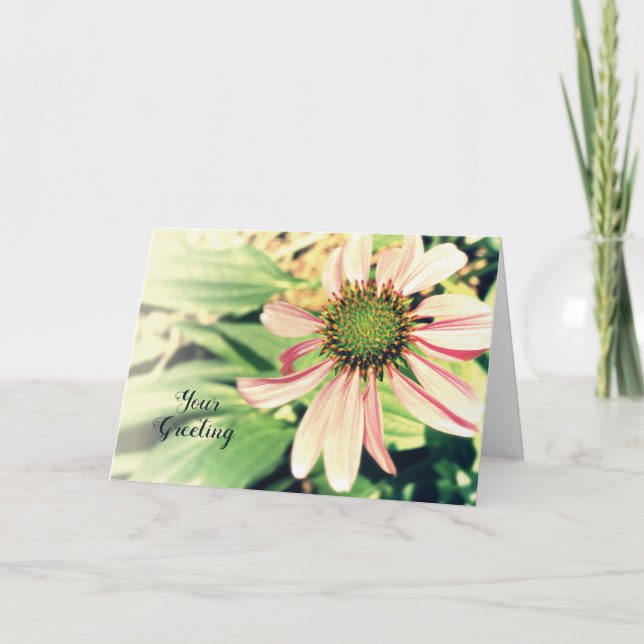 Pink Coneflower  Any Occasion Personalizable  Card (Front)