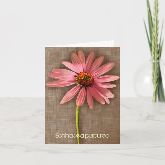 Pink Coneflower Echinacea purpurea Thank You Card (Front)