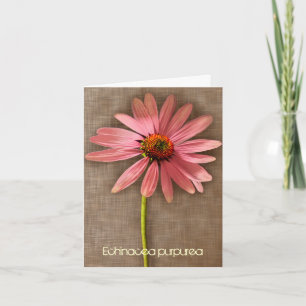 Pink Coneflower Echinacea purpurea Thank You Card